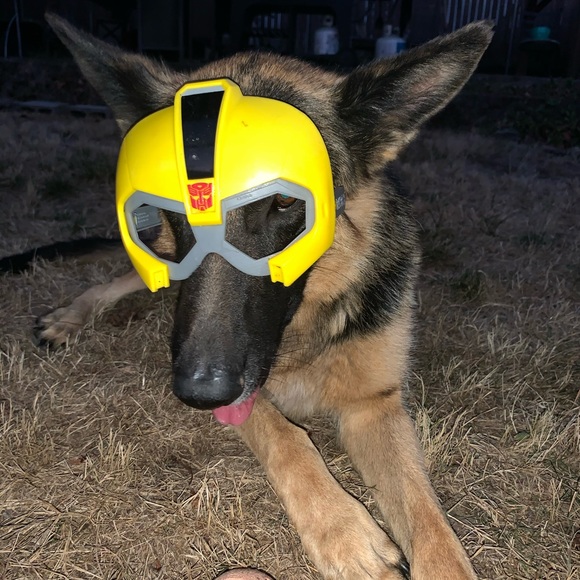 Meet your Posher, Erica - Picture 12 of 16